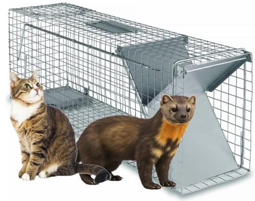 hundefutter mit lamm Nature's Protection, Superior Care main image 0